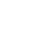 Expert Icon