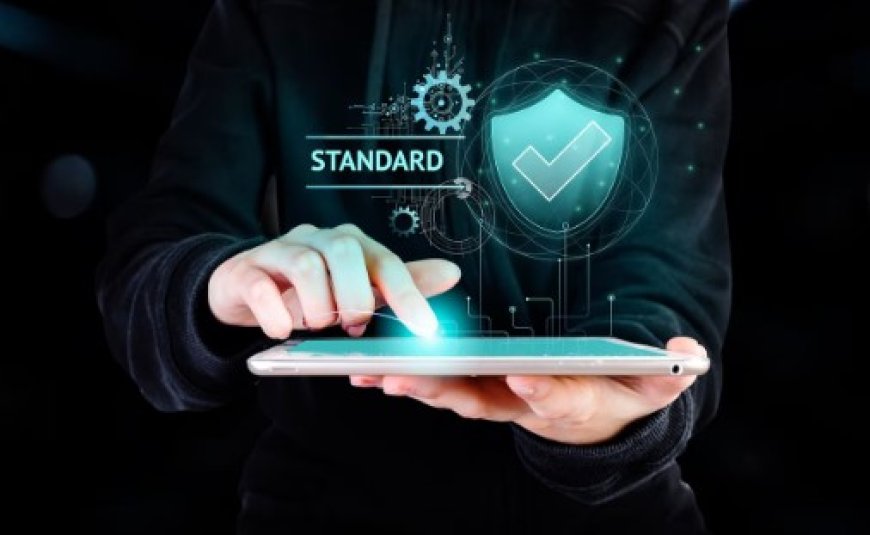 The Basics of Cloud Security Standards