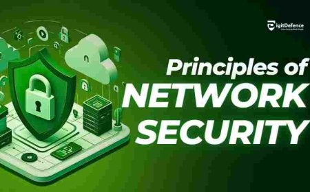 Principles of Network Security