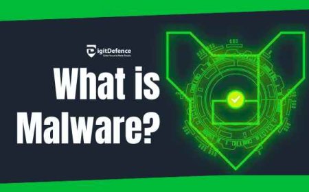 What is Malware?