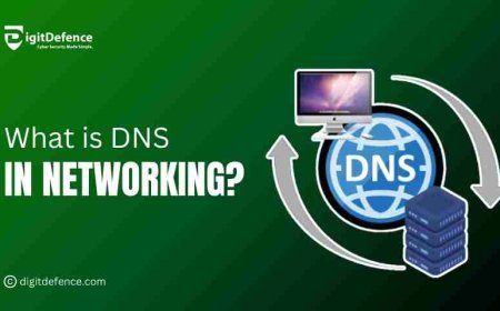 Why Businesses Need to Understand DNS in Networking