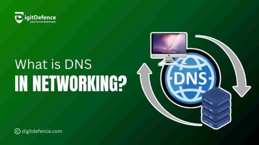 Why Businesses Need to Understand DNS in Networking