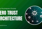 Why Businesses Choose Zero Trust Architecture