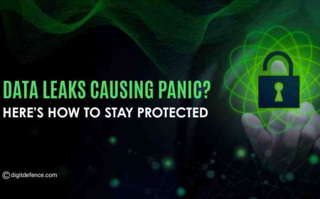 Data Leaks Causing Panic? Here’s How to Stay Protected